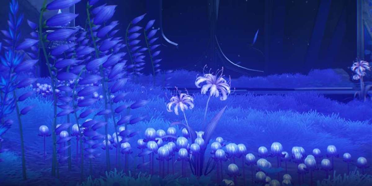 Afterlife Zones in WuWa – Key Locations & Farming Tips