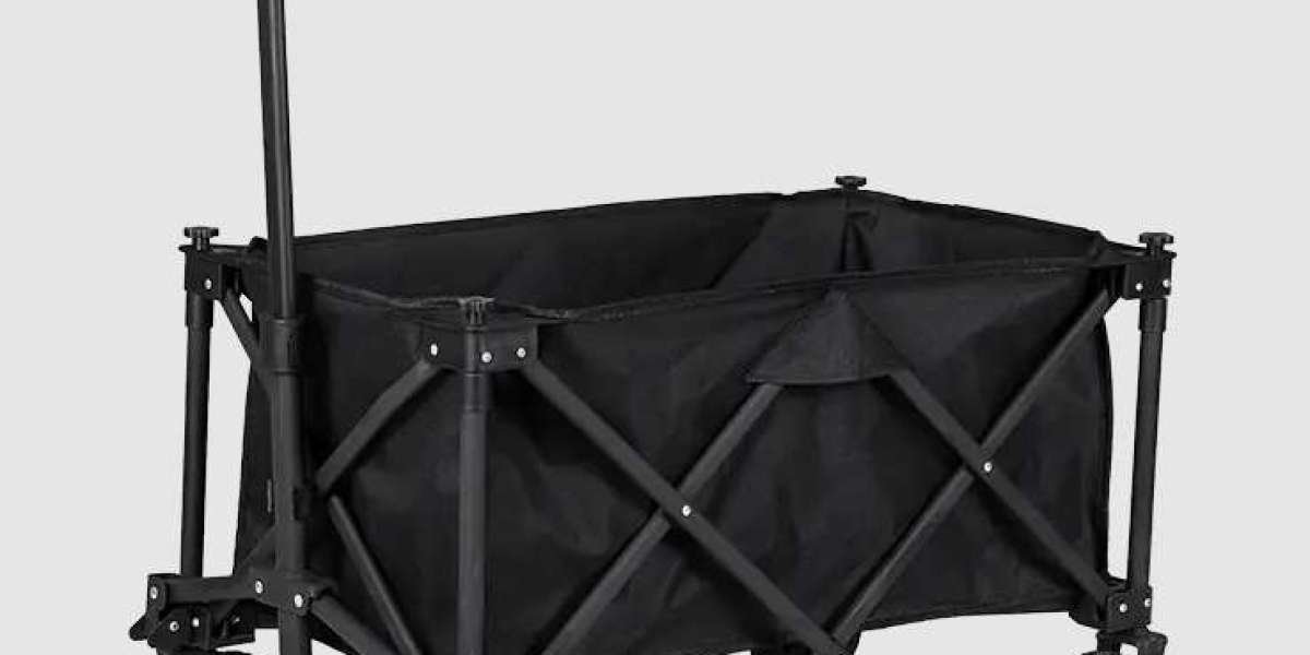 How Does a Trolly Change the Camping Experience?