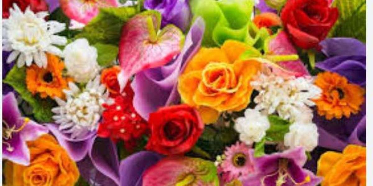 Global Hair Color in Ghatkopar: Bright Shades, Bold Style