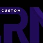 Custom CRM Profile Picture