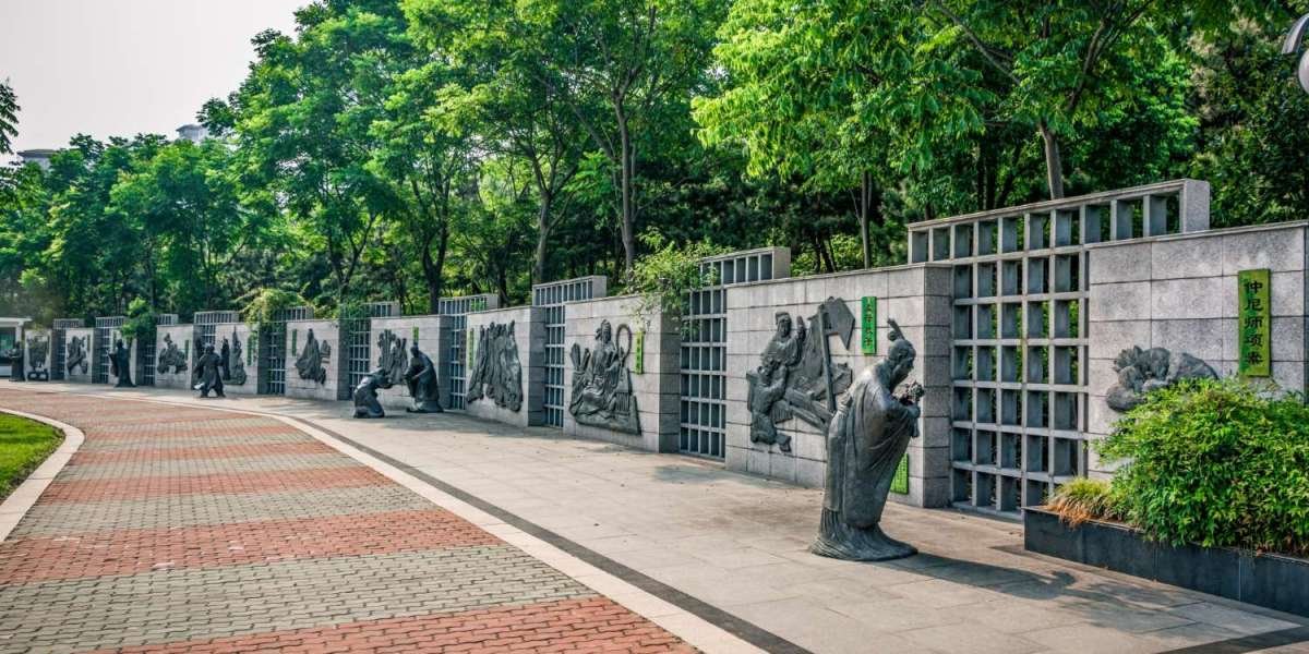 Electric Fencing Cape Town: A Complete Guide to Electric Fence Price, Installation, and Property Security