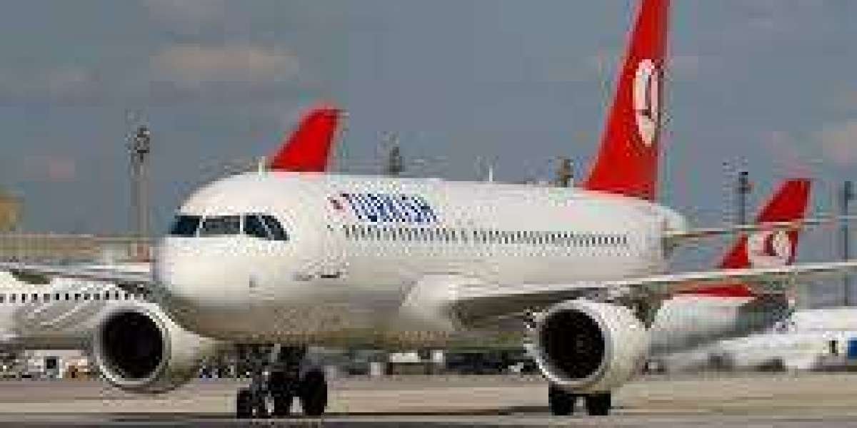 Complete Guide to Turkish Airlines Tehran Office – Address & Contact Info