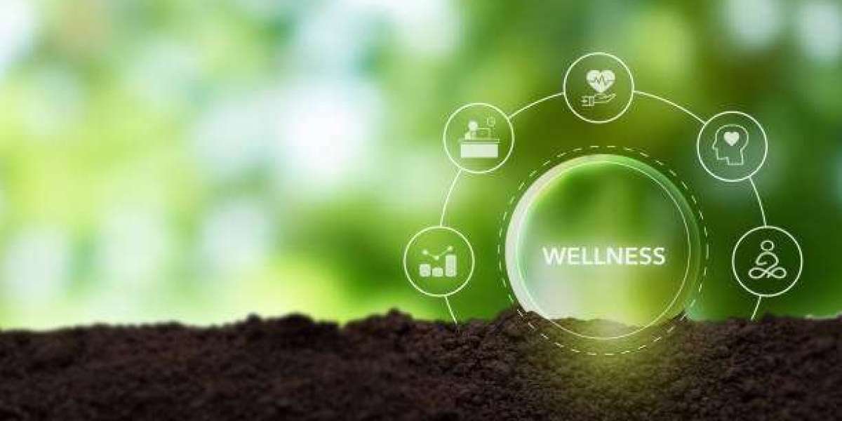 Custom CRM for Wellness Business – Get Pricing & Setup Support