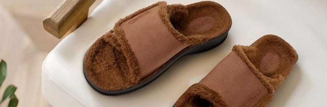 Aerothotic USA Cover Image