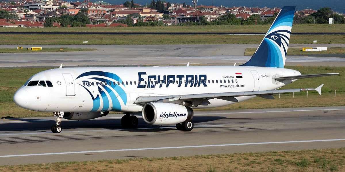 EgyptAir Office Amman – Everything You Need to Know
